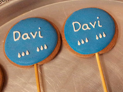 Biscoitos Decorados de Galinha Pintadinha para o Davi