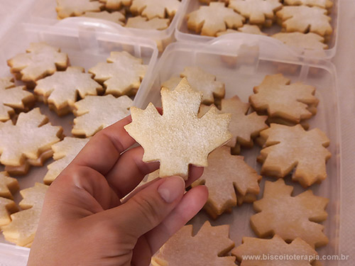 Biscoitos de Maple Syrup